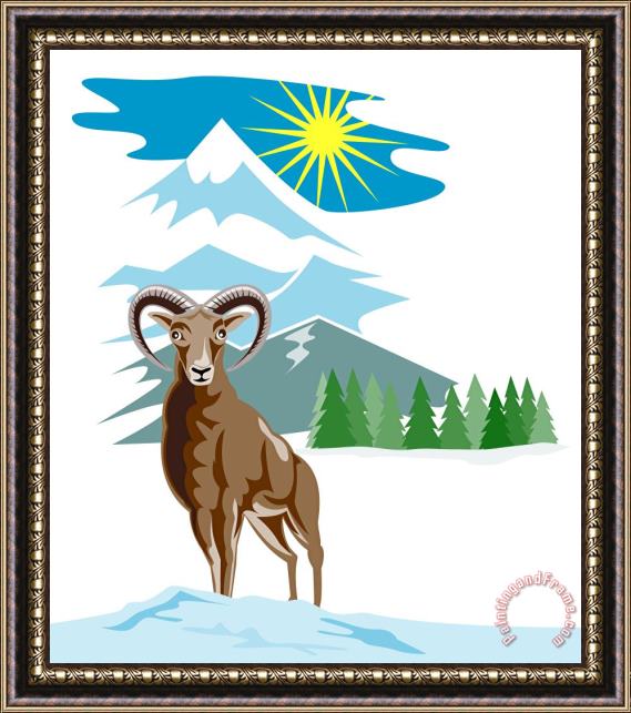 Collection 10 Mouflon Sheep Mountain Goat Framed Painting