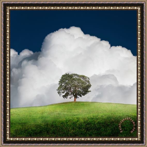 Collection 11 A New Unity Framed Print