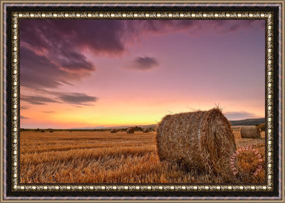 Collection 12 Bales At Twilight Framed Painting