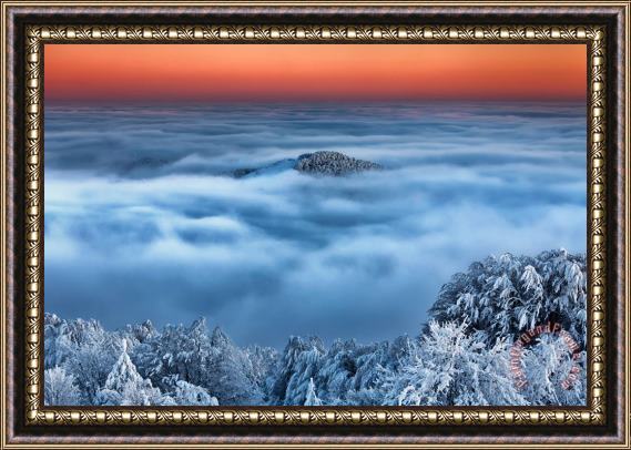 Collection 12 Bed of Clouds Framed Print
