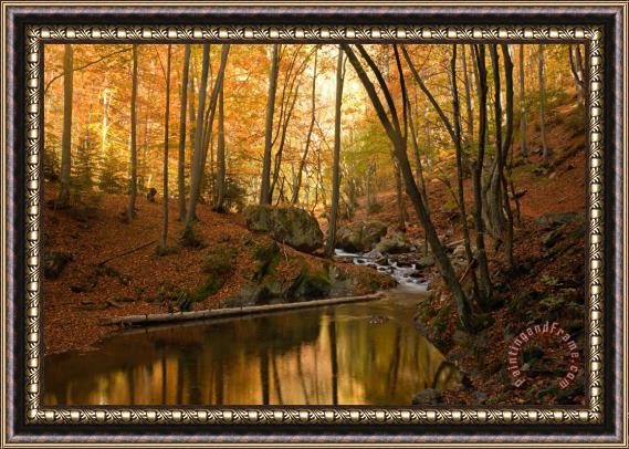 Collection 12 Golden River Framed Painting