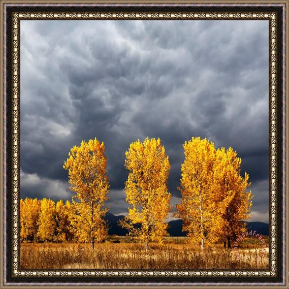 Collection 12 Light And Darkness Framed Print