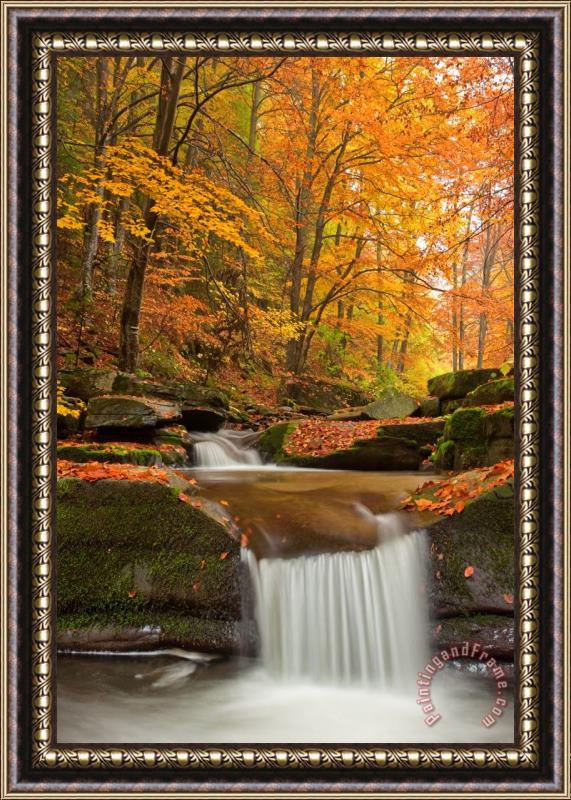 Collection 12 River Rapid Framed Painting