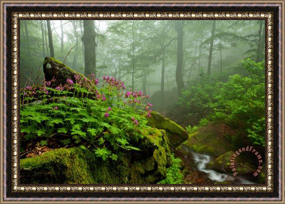Collection 12 Scent of Spring Framed Painting