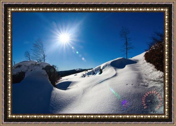Collection 12 Snow and Sub Framed Print