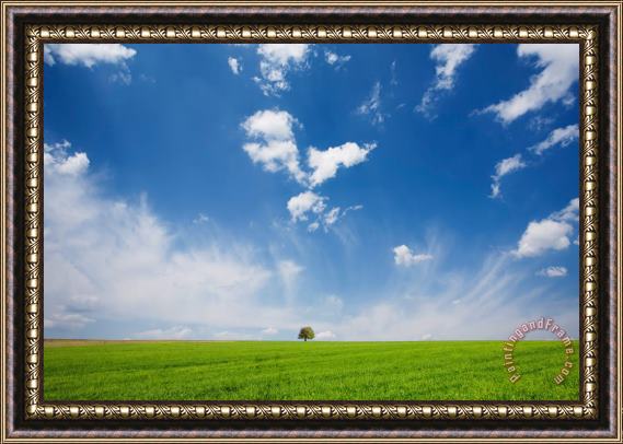 Collection 12 Spring Scape Framed Print