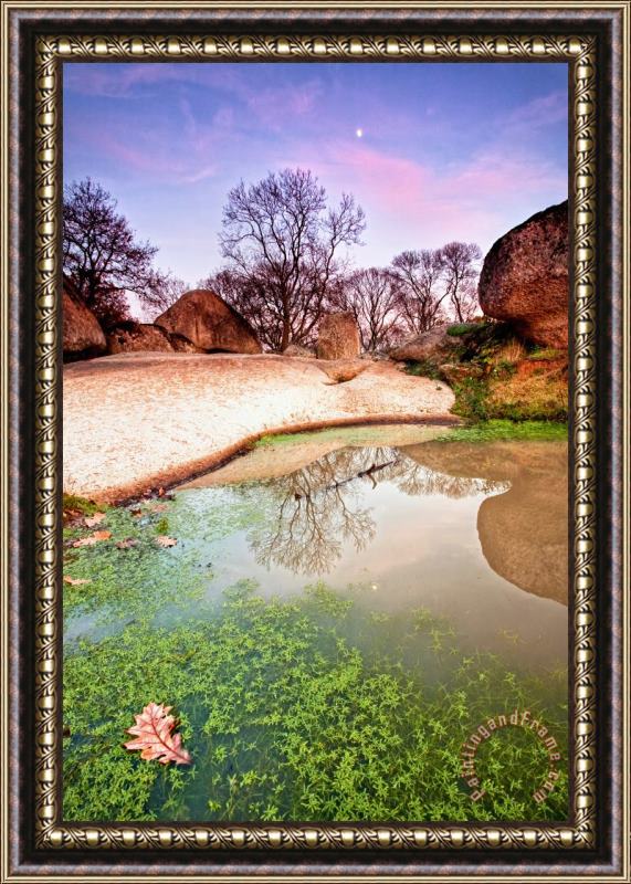Collection 12 Thracian sanctuary Framed Painting
