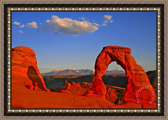 Collection 14 Arch Framed Painting
