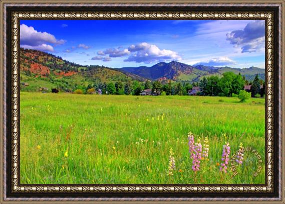 Collection 14 Boulder Park View Framed Painting