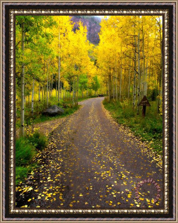 Collection 14 Fall Dream Framed Painting