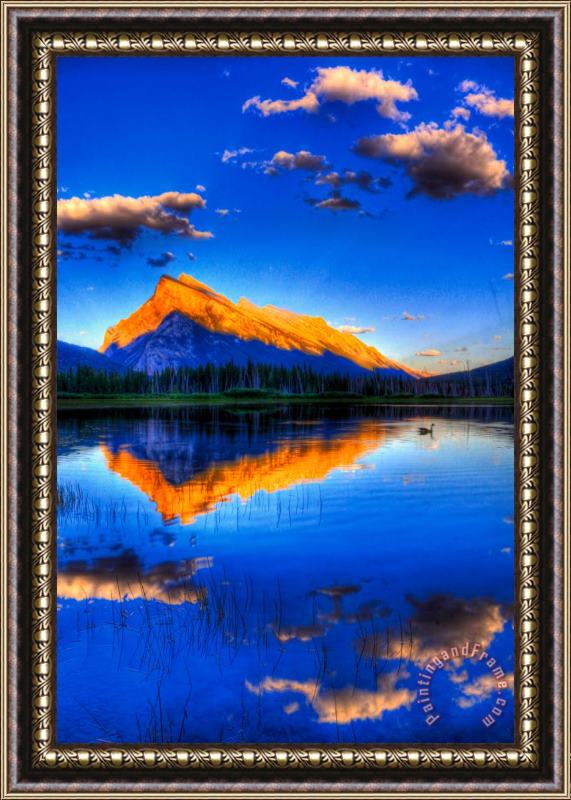 Collection 14 Of Geese and Gods Framed Print