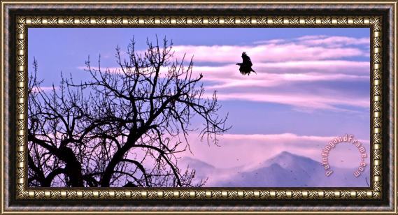 Collection 14 Reach Higher Framed Print
