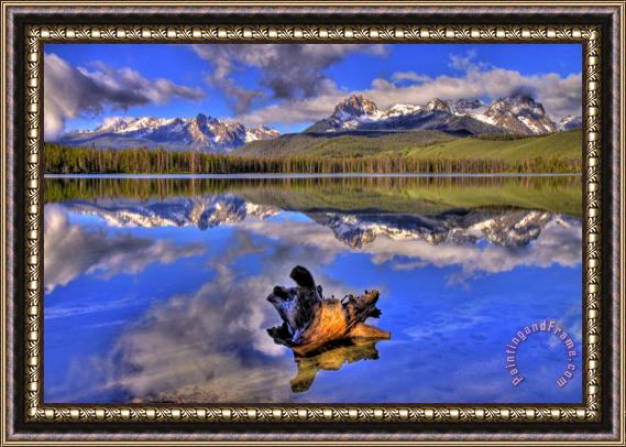 Collection 14 Reflections Framed Painting