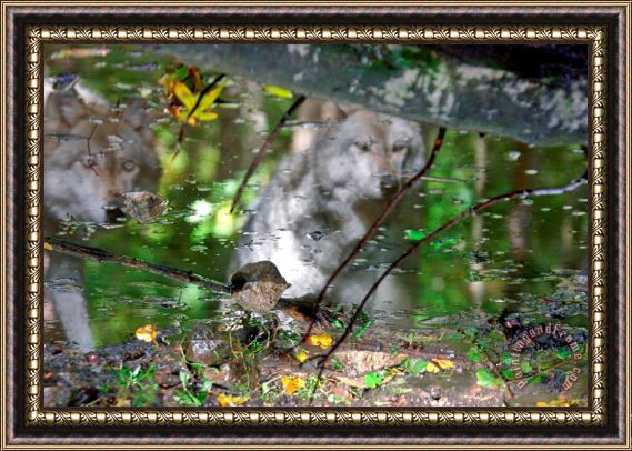 Collection 14 Spirits of Wolves Framed Painting