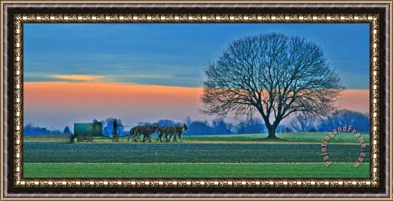 Collection 14 Through The Fields Framed Painting