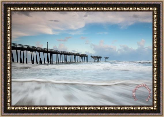 Collection 3 A Resolute Relic in a Harsh Environment Framed Print