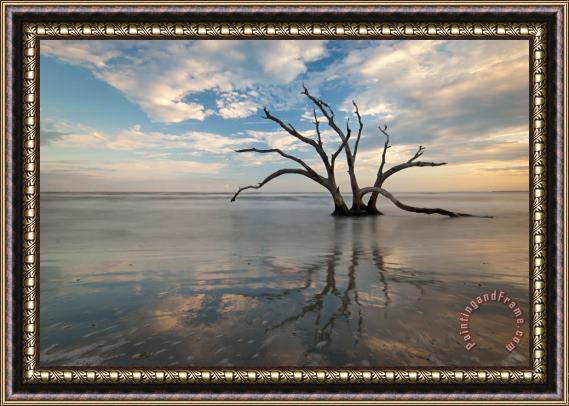 Collection 3 Charleston Tree in Ocean Surf Framed Print