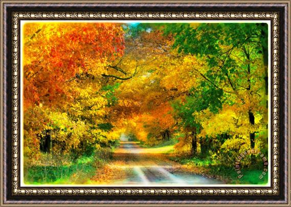 Collection 8 Autumn country lane Framed Painting