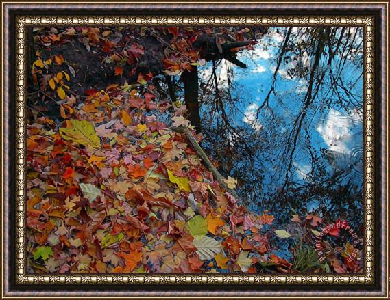 Collection 8 Autumn reflections Framed Print