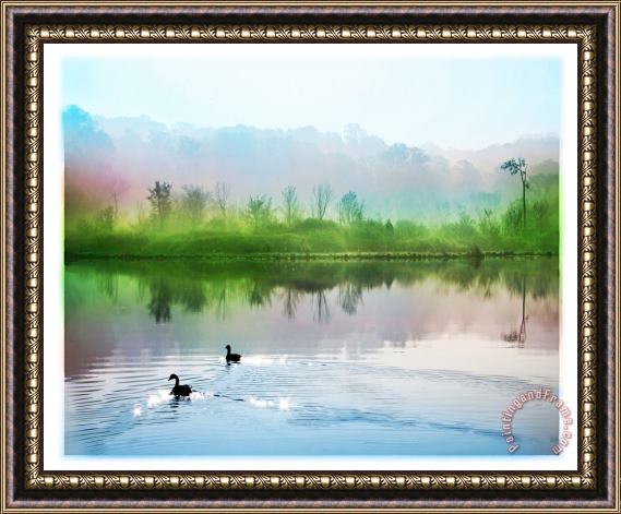 Collection 8 Calming water Framed Painting