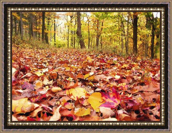 Collection 8 Leaf covered trail Framed Painting