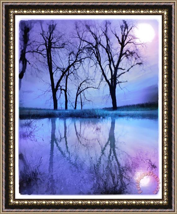 Collection 8 Night sky Framed Painting