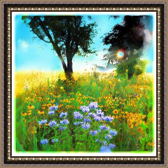 Collection 8 Prairie Sunrise Framed Painting