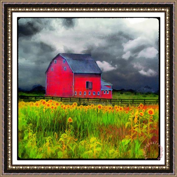 Collection 8 Red barn Framed Print