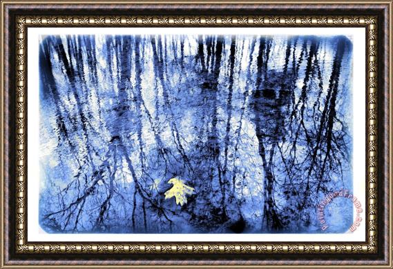 Collection 8 Reflection in blue Framed Print