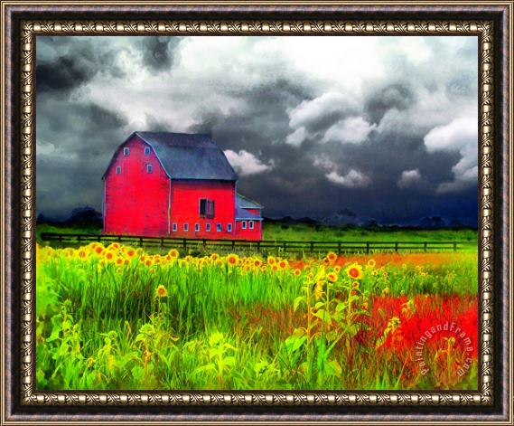 Collection 8 The red barn Framed Painting