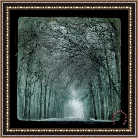 Collection 8 Winter drive Framed Print