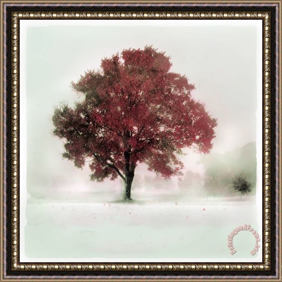 Collection 8 winter greets Autumn Framed Print