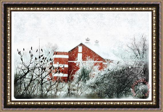 Collection 8 Winter View Framed Print