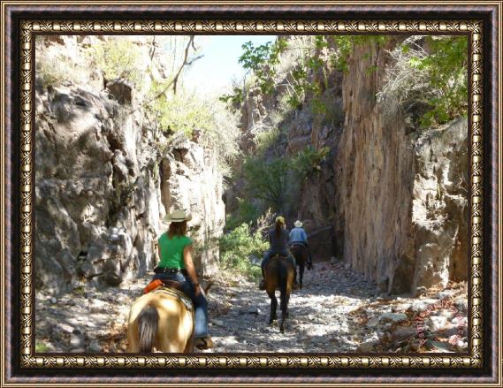 Collection Mexico on Horseback Framed Print