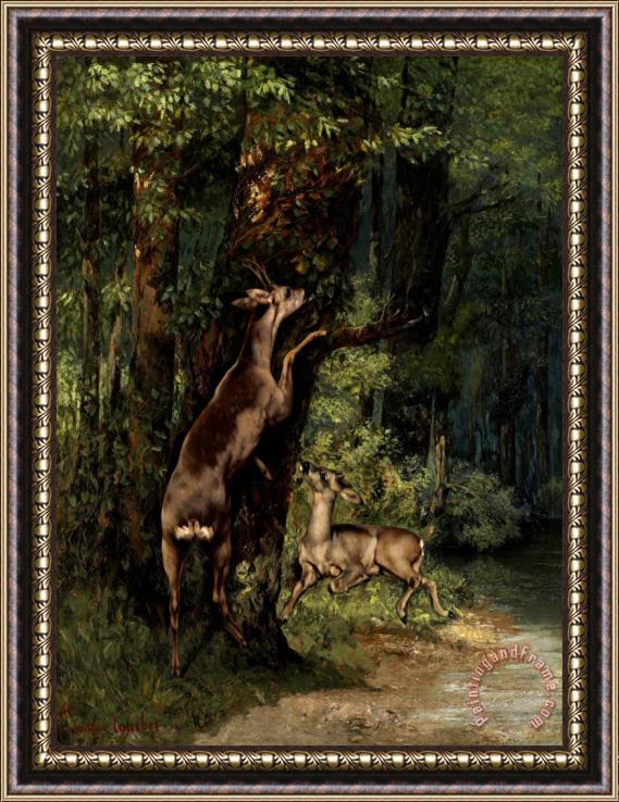 Courbet, Gustave Deer in The Forest Framed Painting