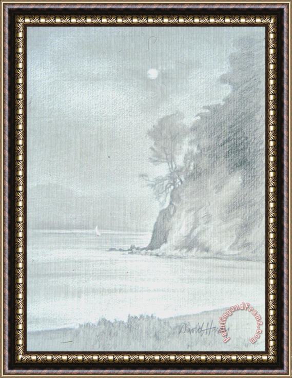 David Hardy Bay Moon Framed Painting