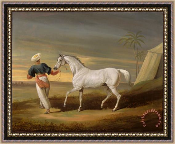 David of York Dalby Signal - a grey Arab with a Groom in the Desert Framed Print