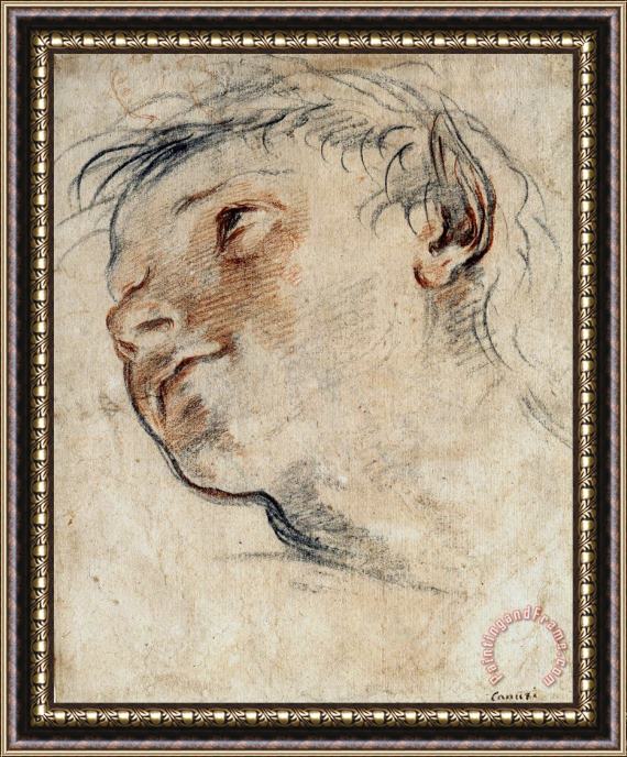 Domenico Maria Canuti Study for The Head of a Faun Framed Painting