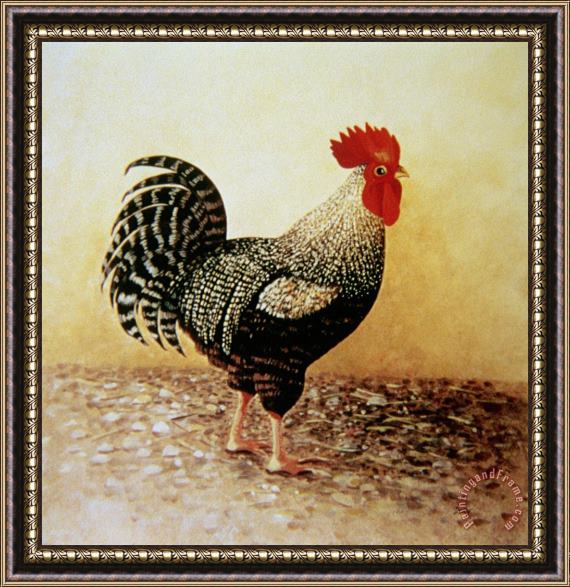 Dory Coffee Speckled Rooster Framed Print