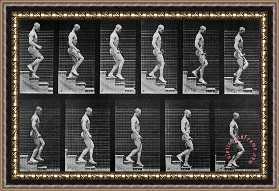 Eadweard Muybridge Man Descending Stairs Framed Painting