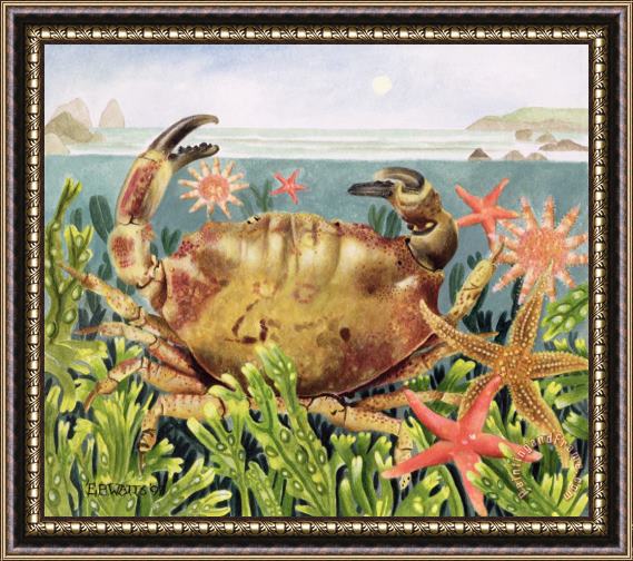 EB Watts Furrowed Crab With Starfish Underwater Framed Painting