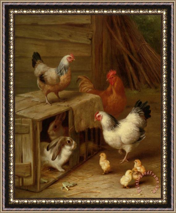 Edgar Hunt Cockerel Hens Chicks And Rabbit Framed Print