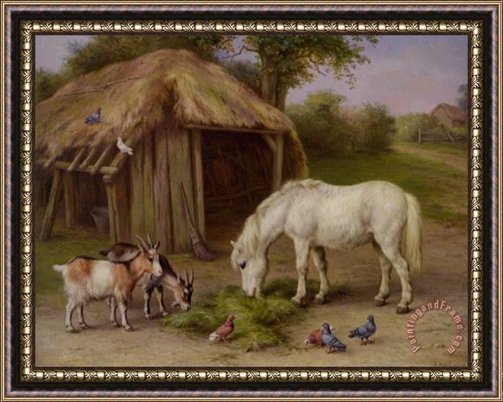 Edgar Hunt Pony And Goats in a Farmyard Framed Print