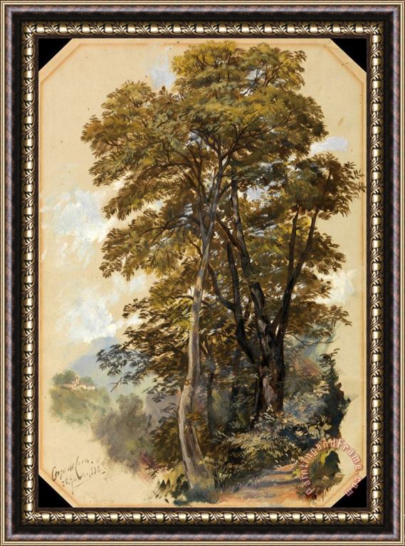 Edward Lear Corpo Di Cava, 28 June 1838 Framed Painting