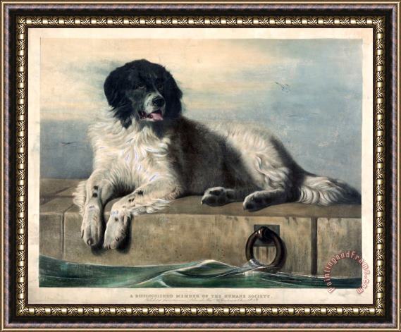 Edwin Landseer A Distinguished Member of The Humane Society Framed Painting
