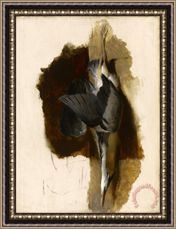Edwin Landseer Study of a Dead Heron Framed Print