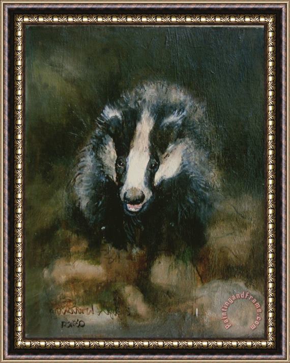 Ellie O Shea Badger Watching Framed Painting