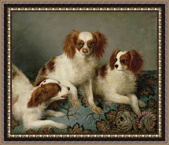 English School Three Cavalier King Charles Spaniels on a Rug Framed Painting