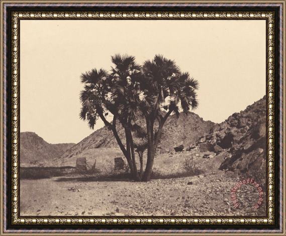 Felix Teynard Egypte Et Nubie. Sites Et Monuments...atlas Photographe...deuxieme Partie. Nubie. Framed Print