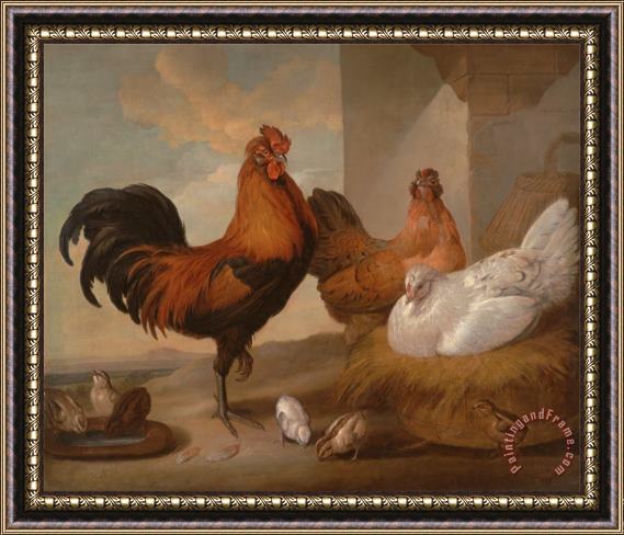 Francis Barlow Domestic Cock, Hens, And Chicks Framed Painting